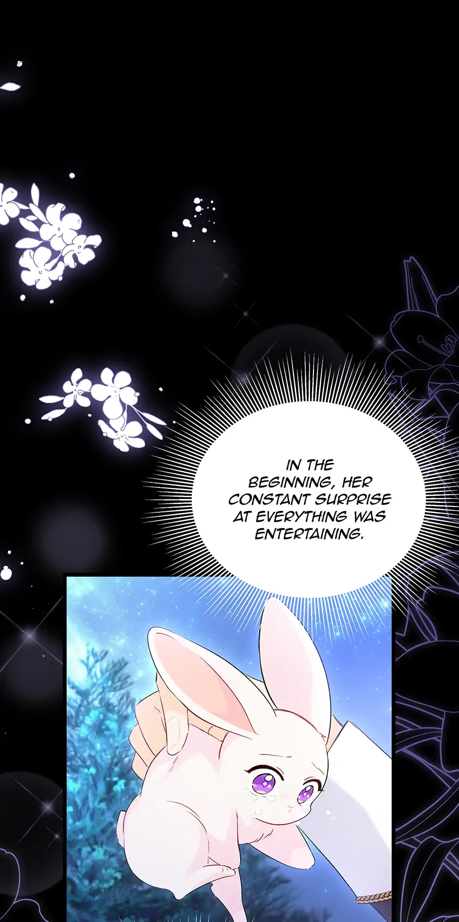 Read The Symbiotic Relationship Between the Rabbit and the Black Panther En Manga Online