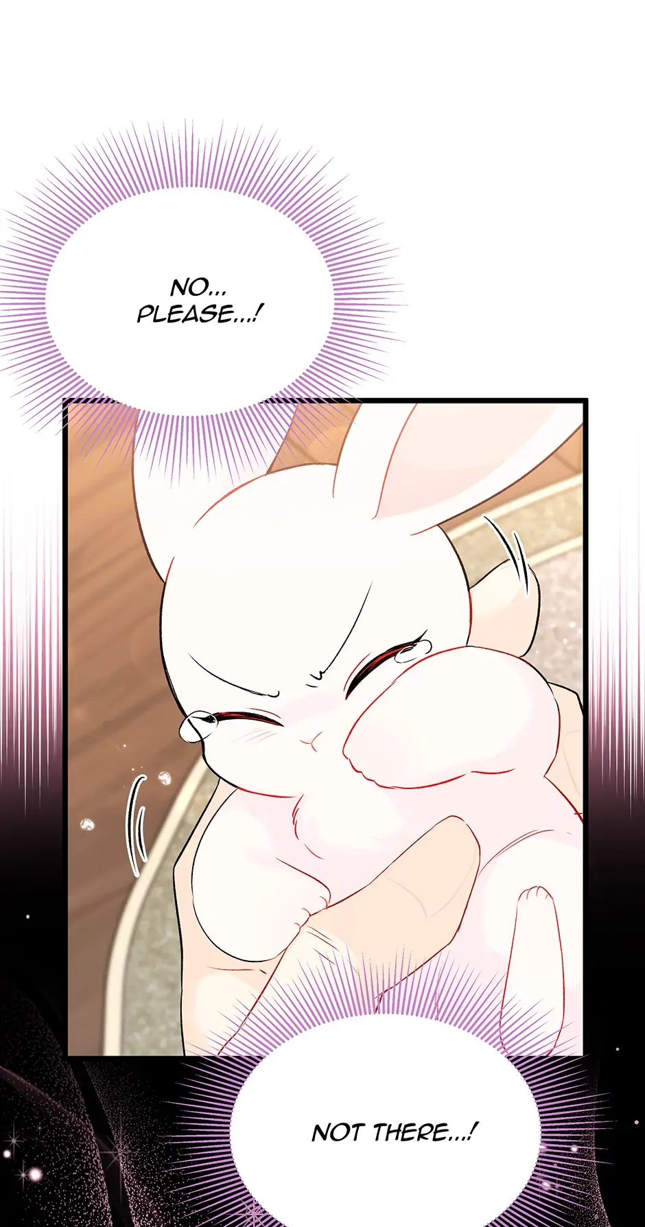 Read The Symbiotic Relationship Between the Rabbit and the Black Panther En Manga Online