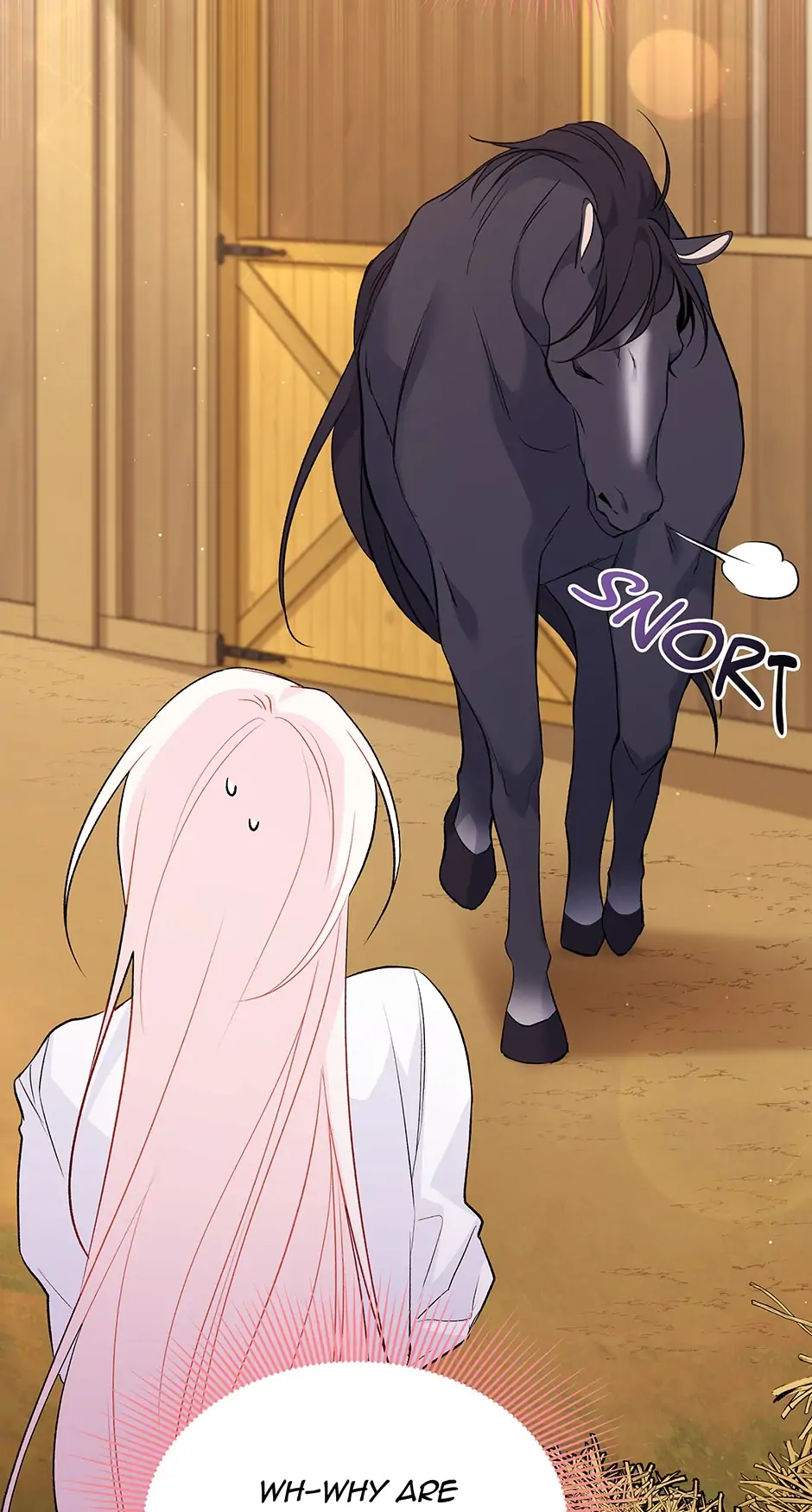 Read The Symbiotic Relationship Between the Rabbit and the Black Panther En Manga Online