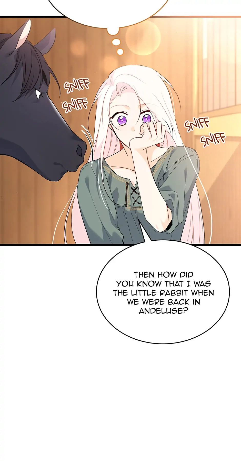 Read The Symbiotic Relationship Between the Rabbit and the Black Panther En Manga Online