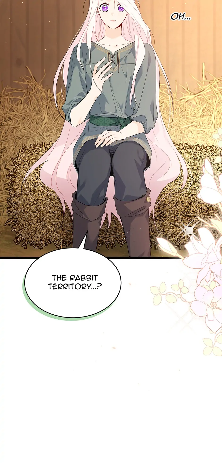 Read The Symbiotic Relationship Between the Rabbit and the Black Panther En Manga Online