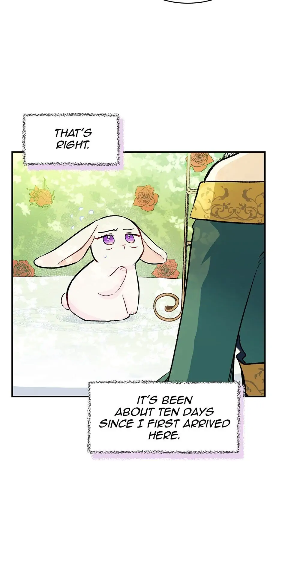 Read The Symbiotic Relationship Between the Rabbit and the Black Panther En Manga Online