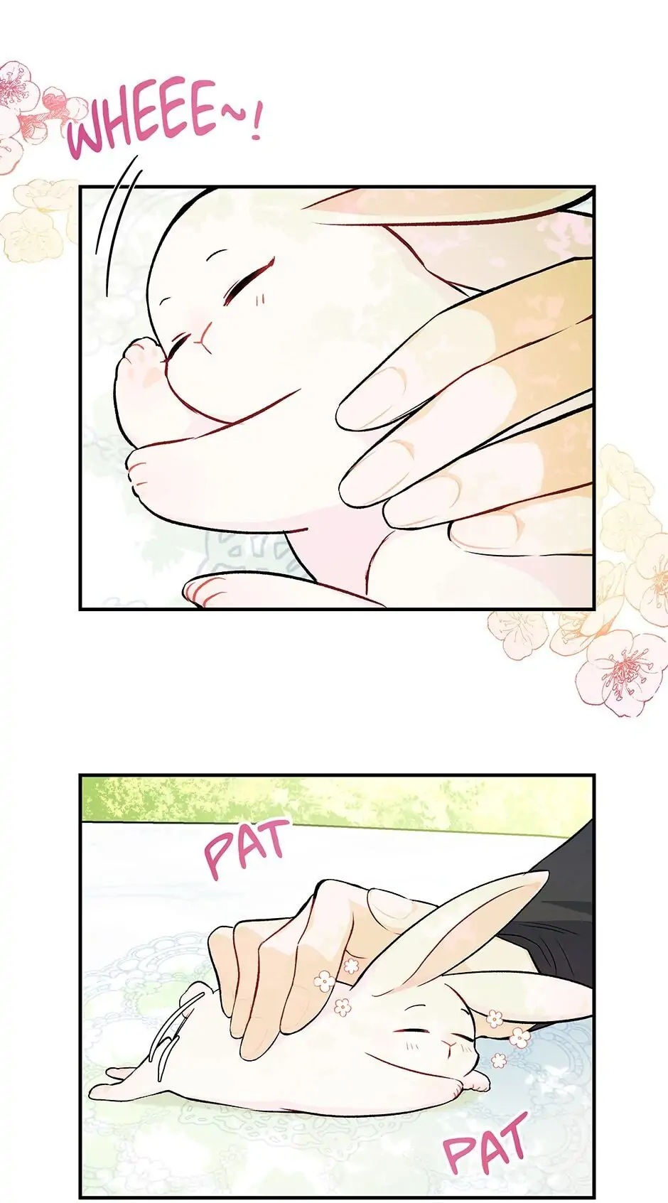 Read The Symbiotic Relationship Between the Rabbit and the Black Panther En Manga Online