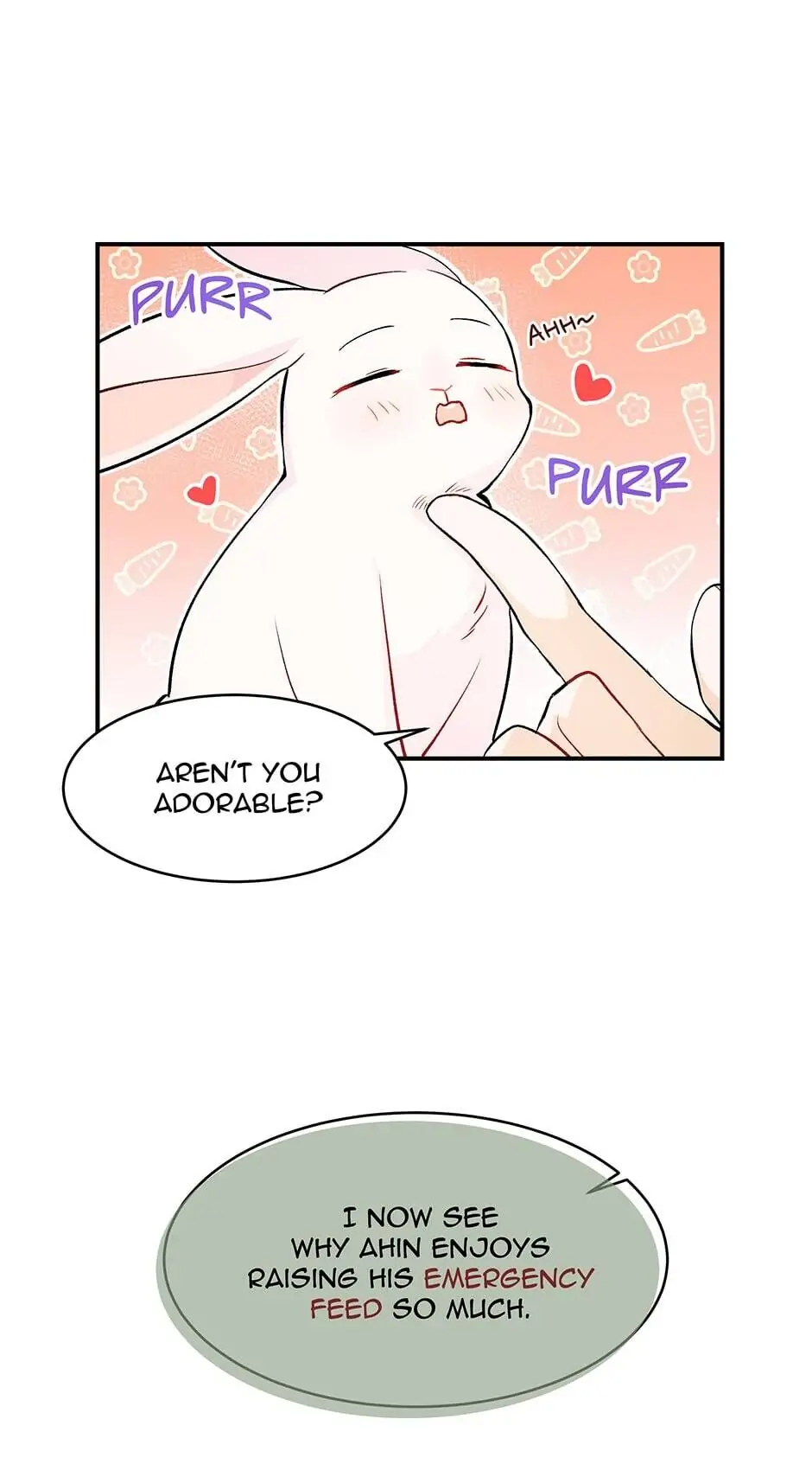 Read The Symbiotic Relationship Between the Rabbit and the Black Panther En Manga Online