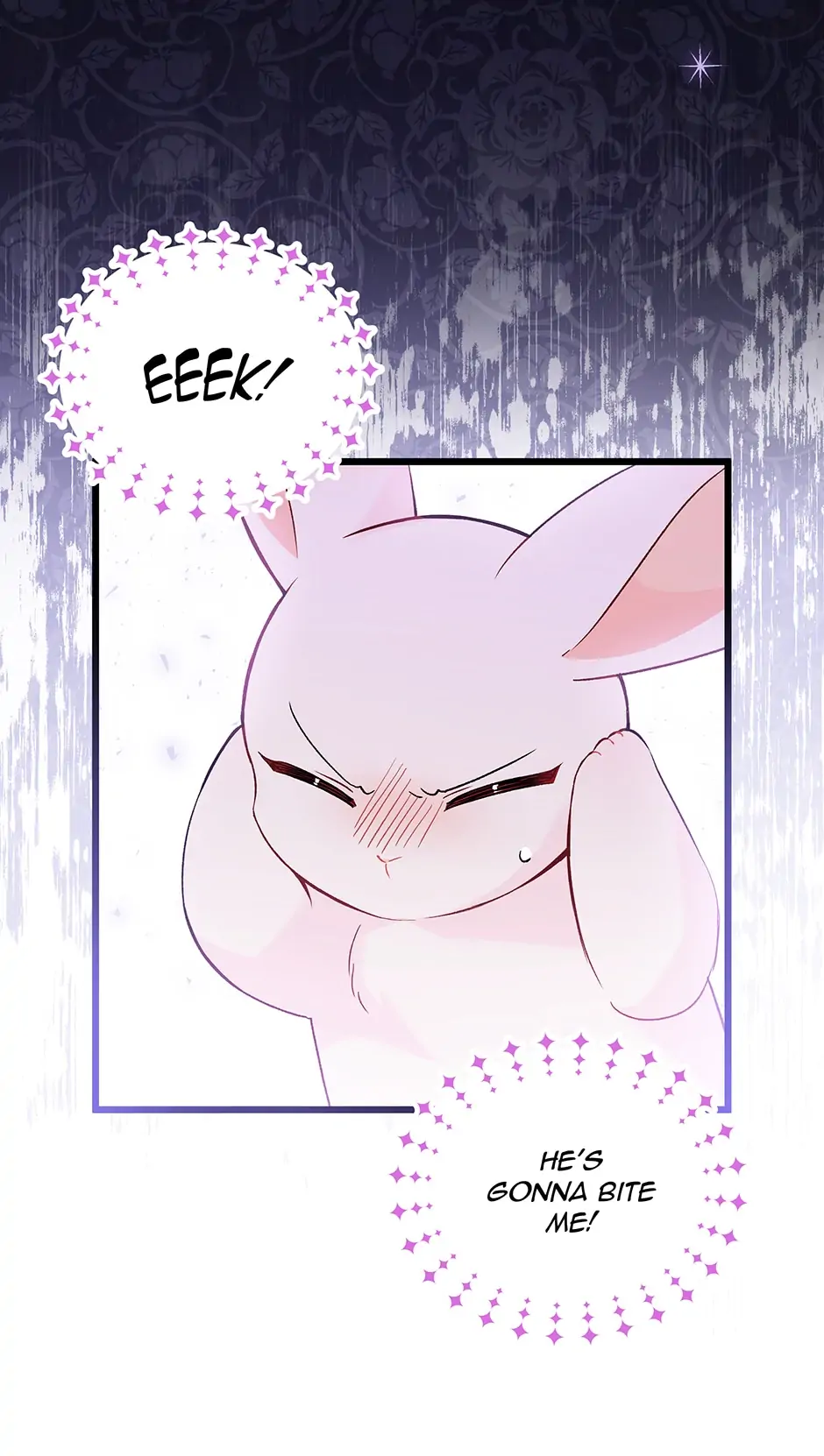 Read The Symbiotic Relationship Between the Rabbit and the Black Panther En Manga Online