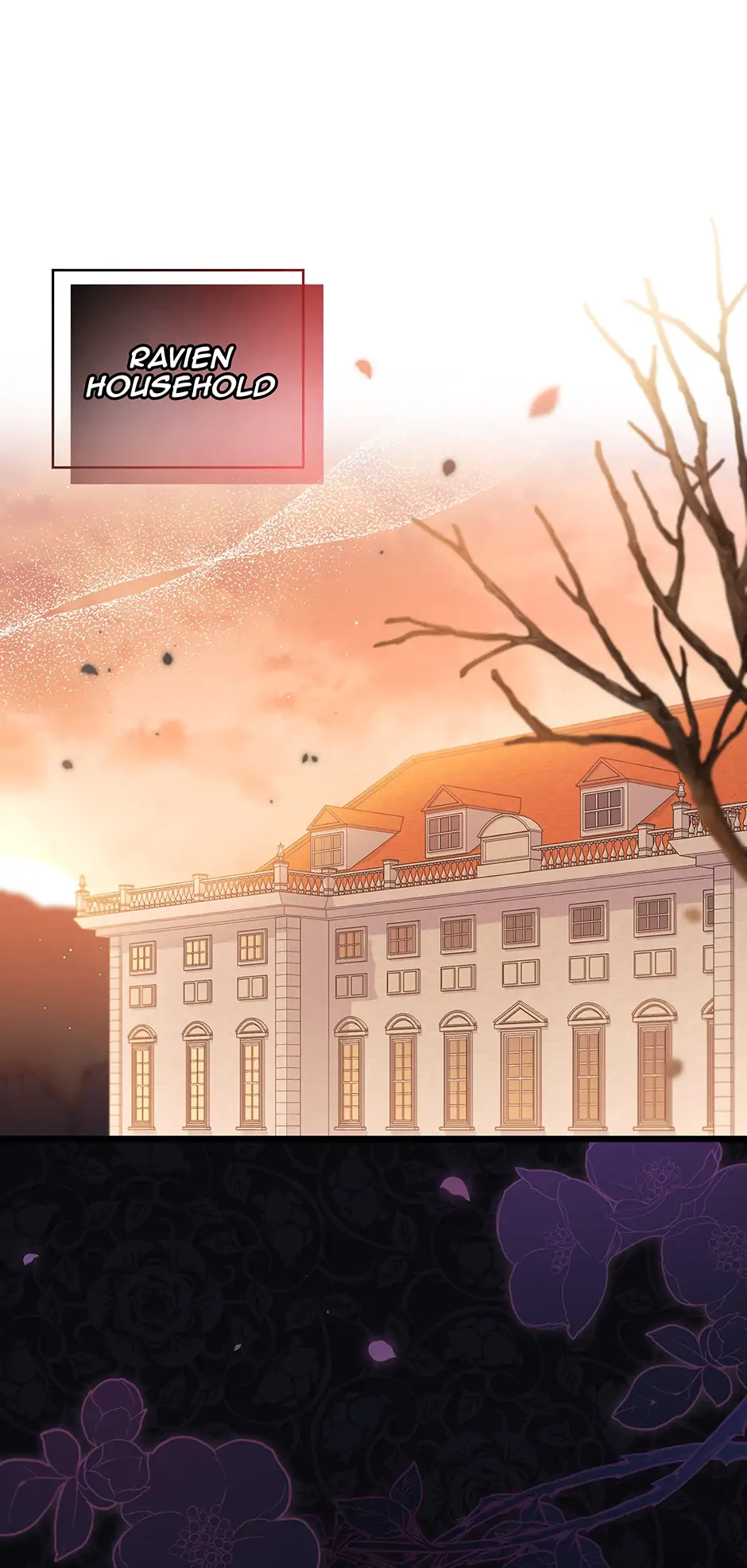 Read The Symbiotic Relationship Between the Rabbit and the Black Panther En Manga Online