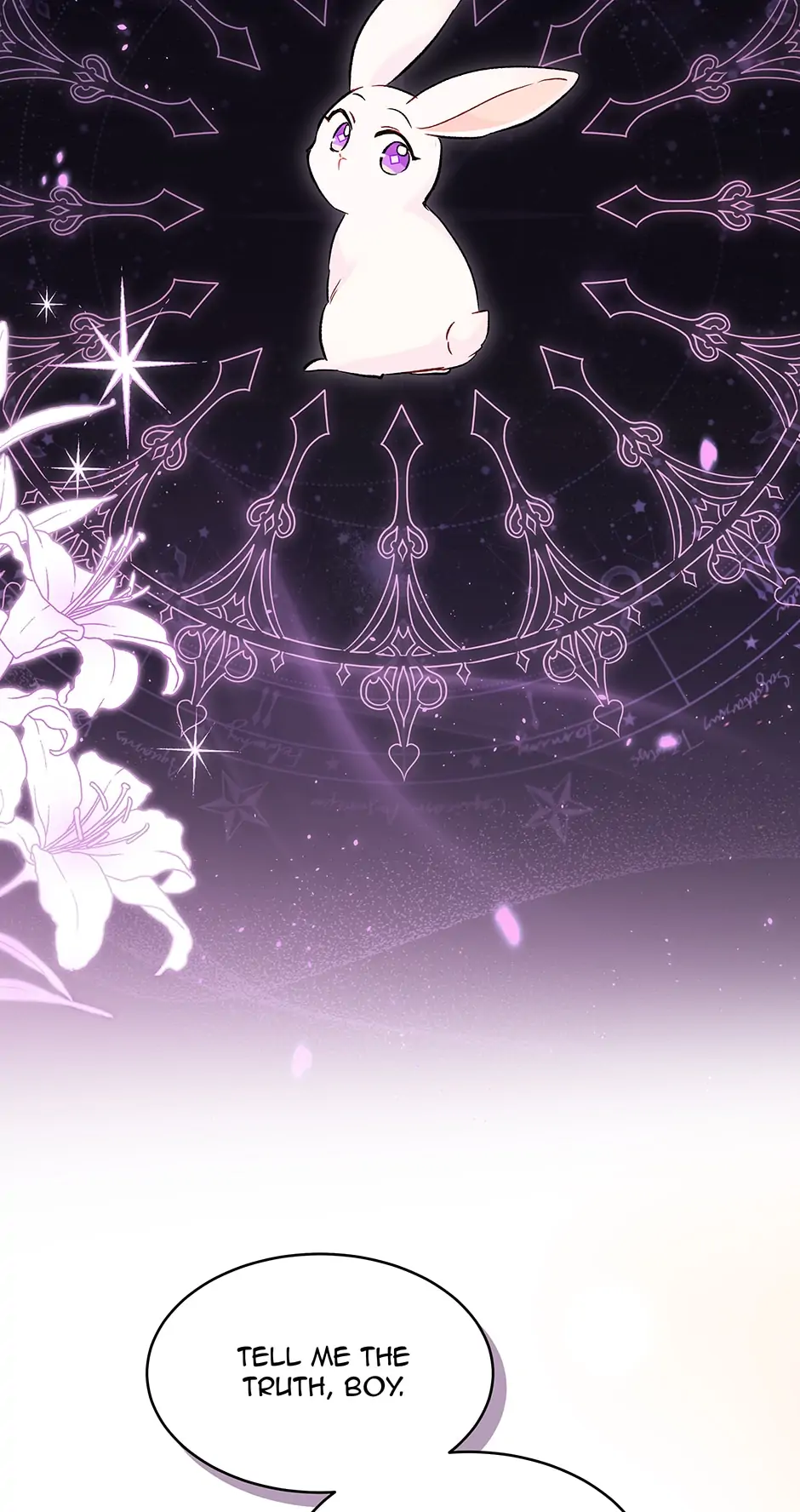 Read The Symbiotic Relationship Between the Rabbit and the Black Panther En Manga Online