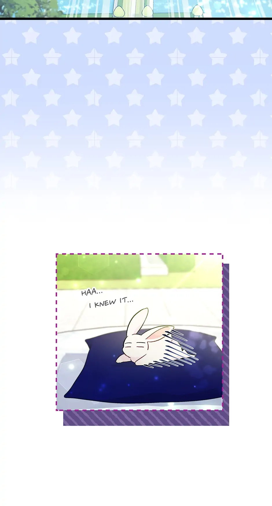 Read The Symbiotic Relationship Between the Rabbit and the Black Panther En Manga Online