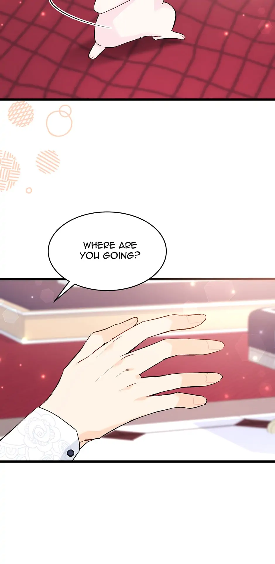 Read The Symbiotic Relationship Between the Rabbit and the Black Panther En Manga Online