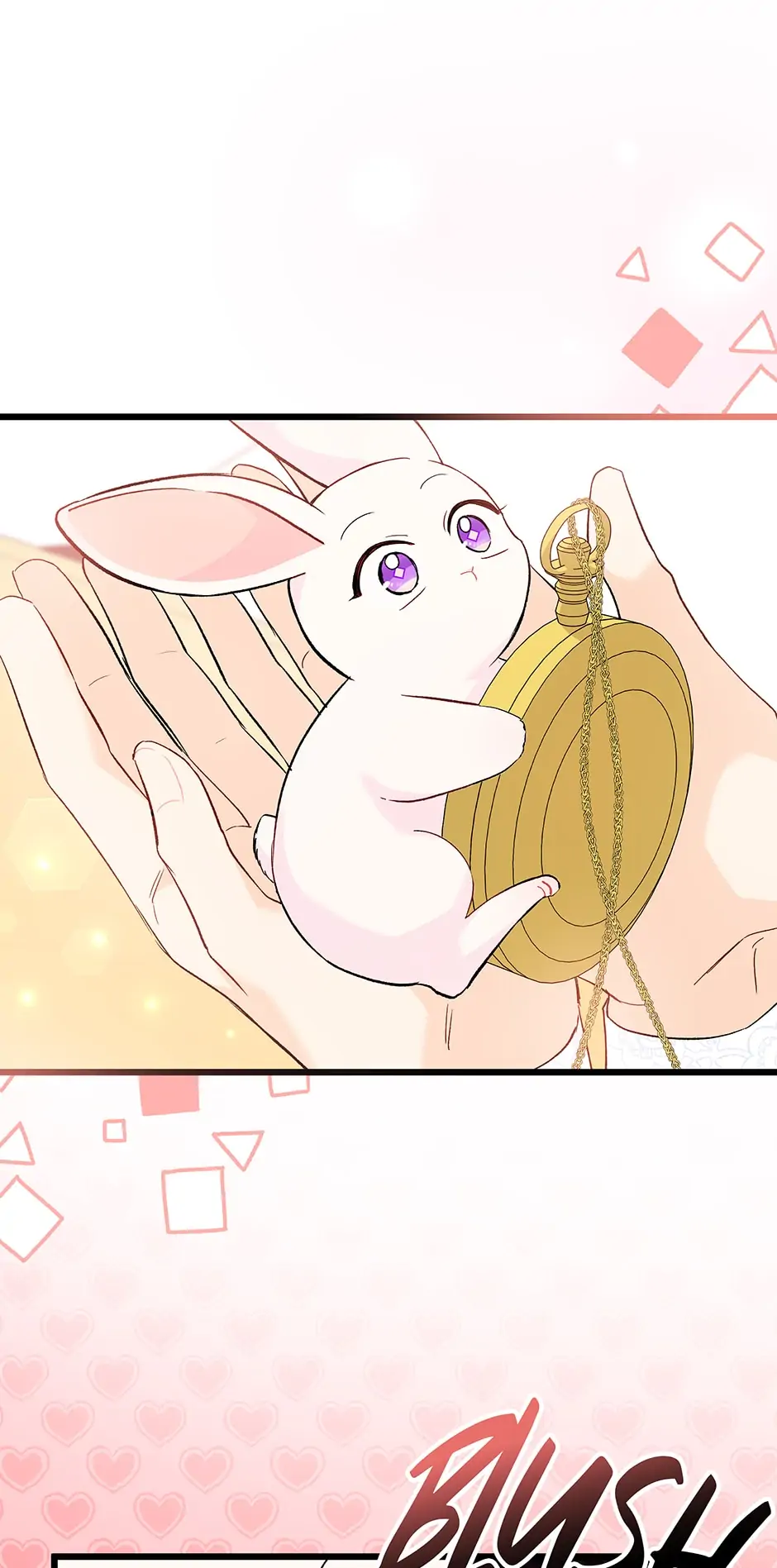 Read The Symbiotic Relationship Between the Rabbit and the Black Panther En Manga Online