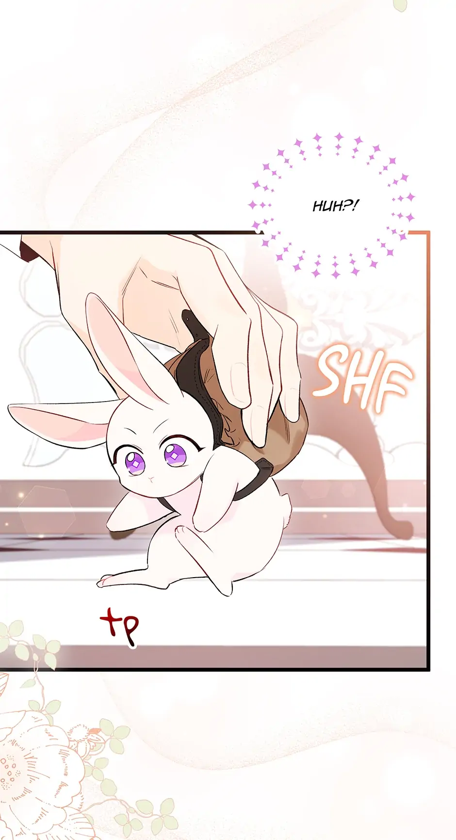 Read The Symbiotic Relationship Between the Rabbit and the Black Panther En Manga Online
