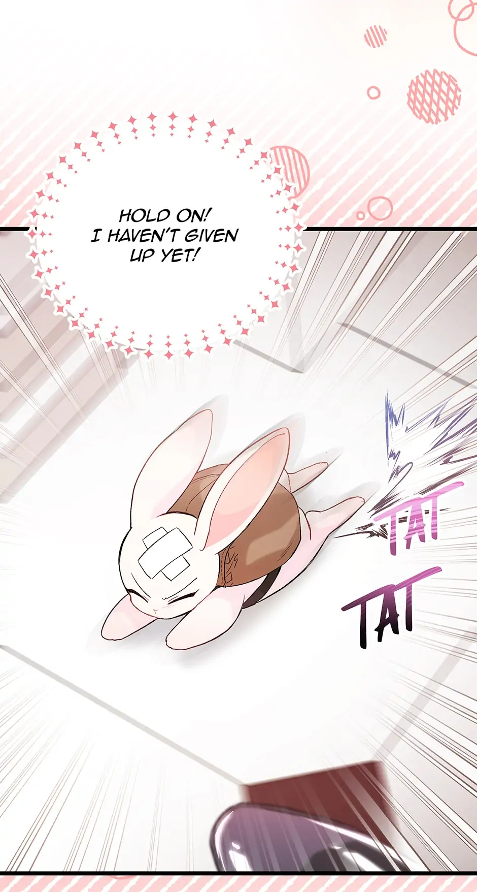 Read The Symbiotic Relationship Between the Rabbit and the Black Panther En Manga Online