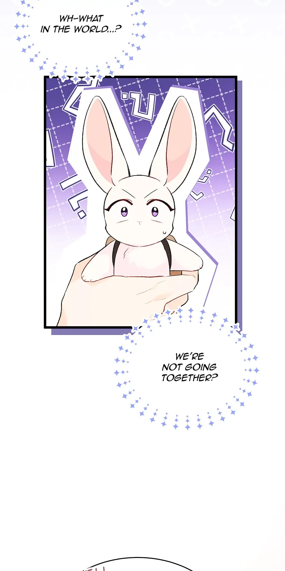 Read The Symbiotic Relationship Between the Rabbit and the Black Panther En Manga Online
