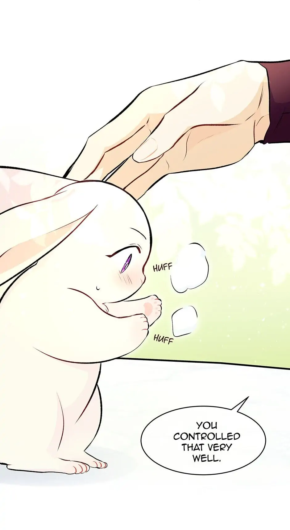 Read The Symbiotic Relationship Between the Rabbit and the Black Panther En Manga Online