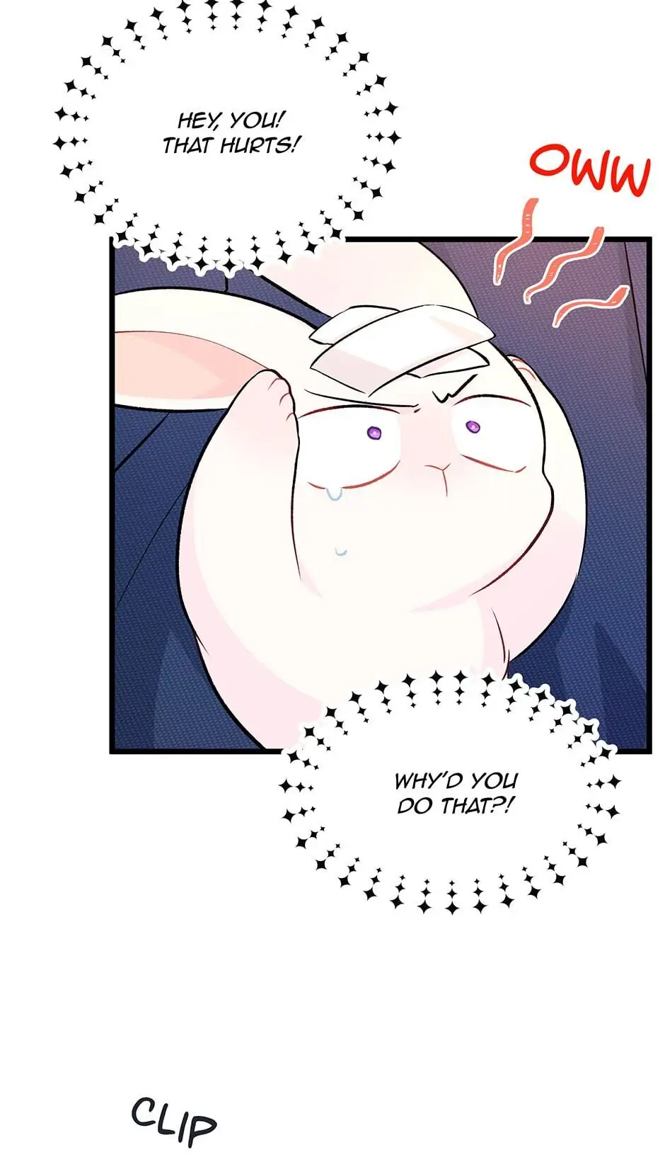 Read The Symbiotic Relationship Between the Rabbit and the Black Panther En Manga Online
