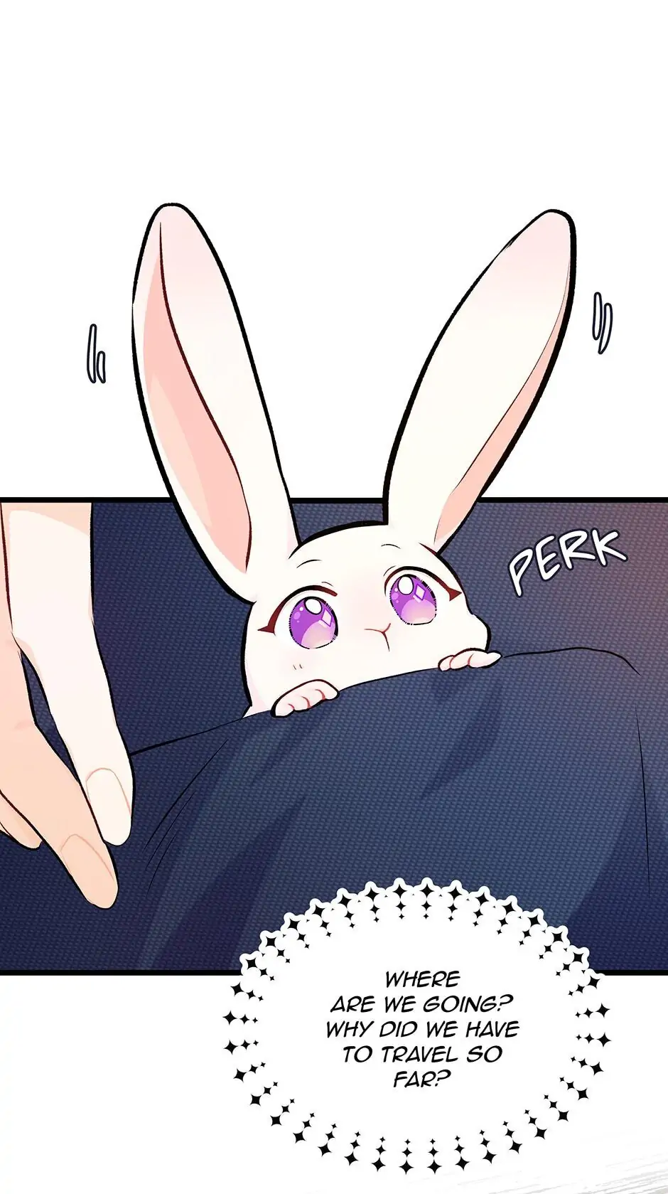 Read The Symbiotic Relationship Between the Rabbit and the Black Panther En Manga Online