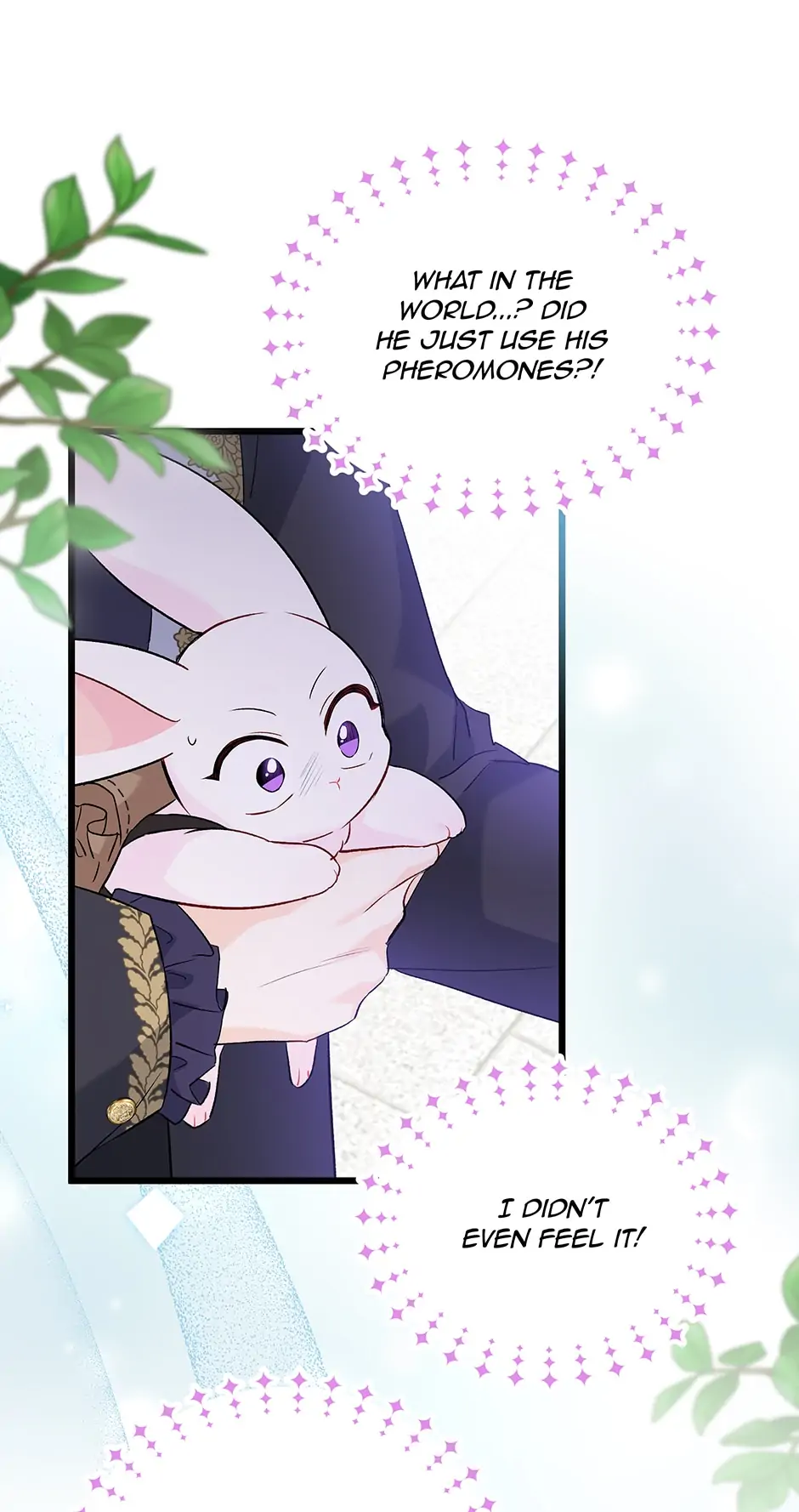 Read The Symbiotic Relationship Between the Rabbit and the Black Panther En Manga Online