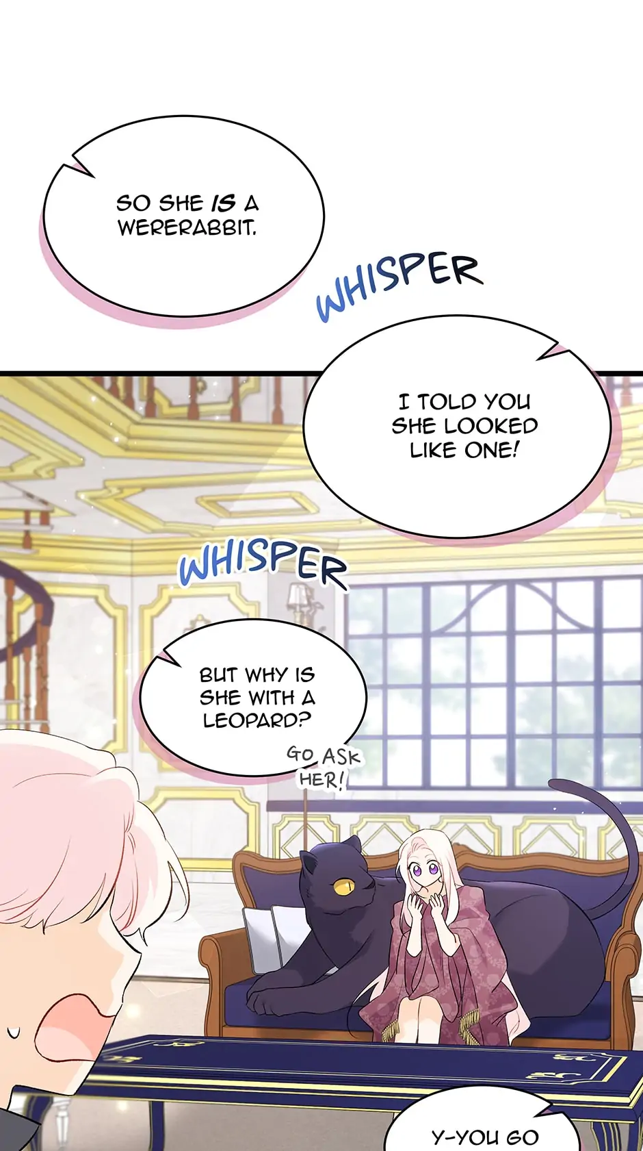 Read The Symbiotic Relationship Between the Rabbit and the Black Panther En Manga Online