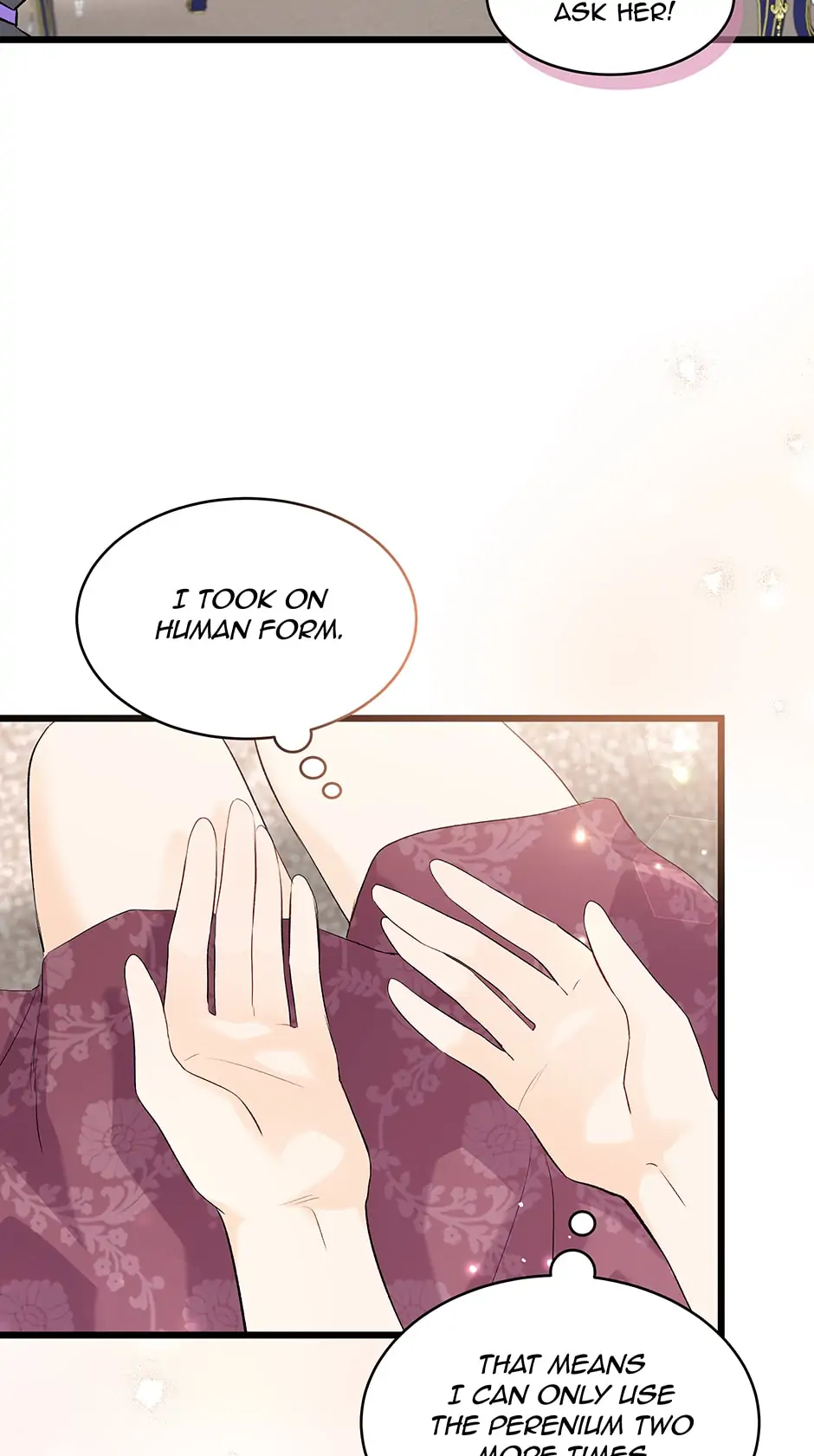 Read The Symbiotic Relationship Between the Rabbit and the Black Panther En Manga Online