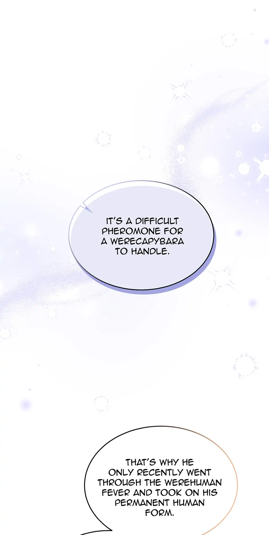 Read The Symbiotic Relationship Between the Rabbit and the Black Panther En Manga Online