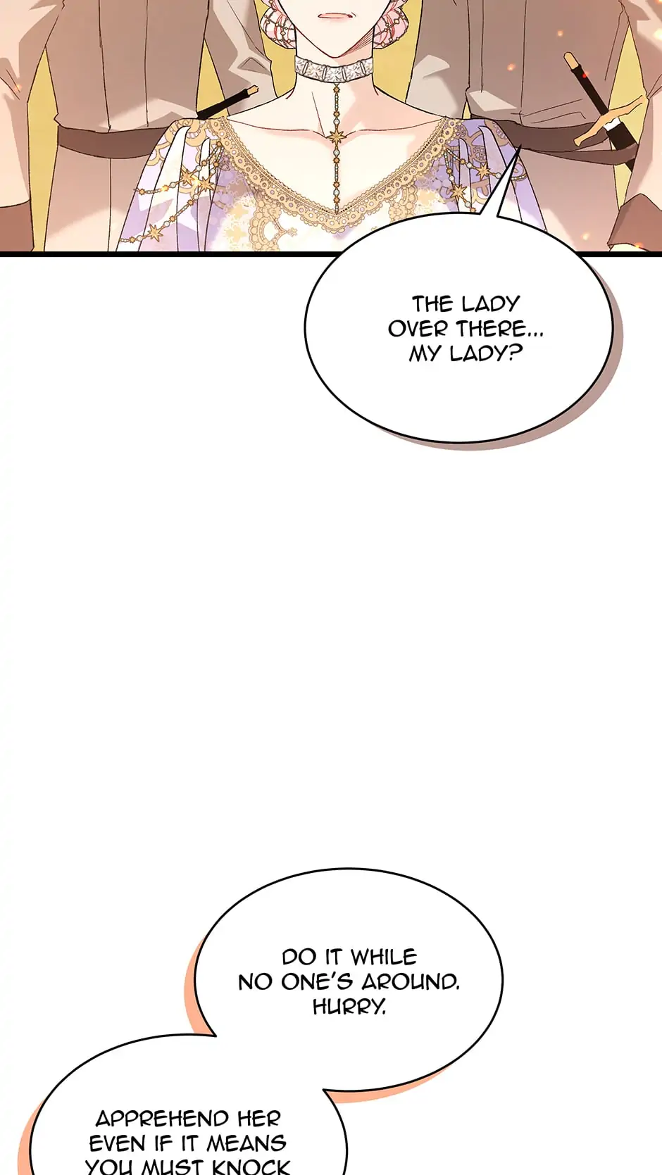 Read The Symbiotic Relationship Between the Rabbit and the Black Panther En Manga Online