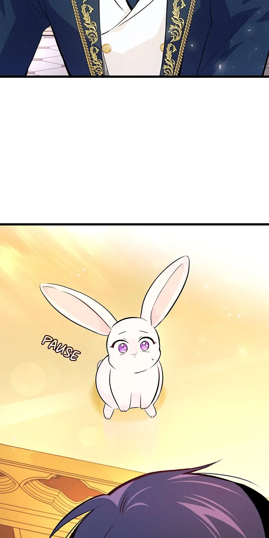 Read The Symbiotic Relationship Between the Rabbit and the Black Panther En Manga Online