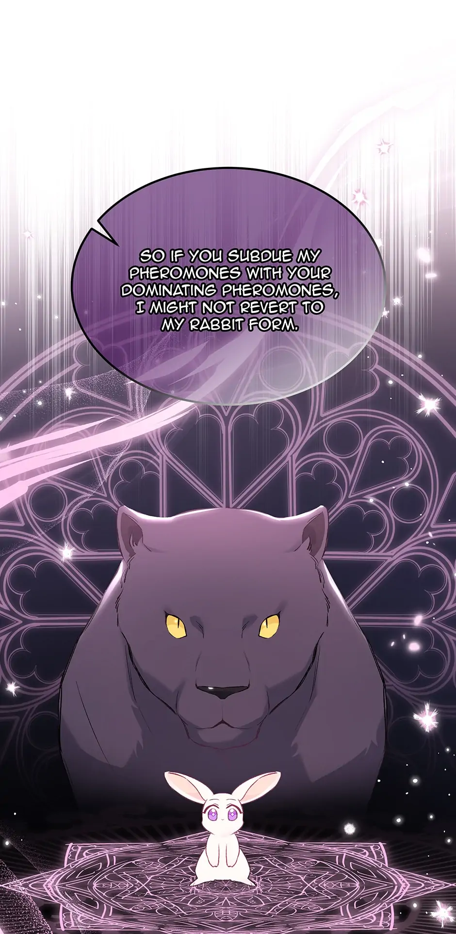 Read The Symbiotic Relationship Between the Rabbit and the Black Panther En Manga Online
