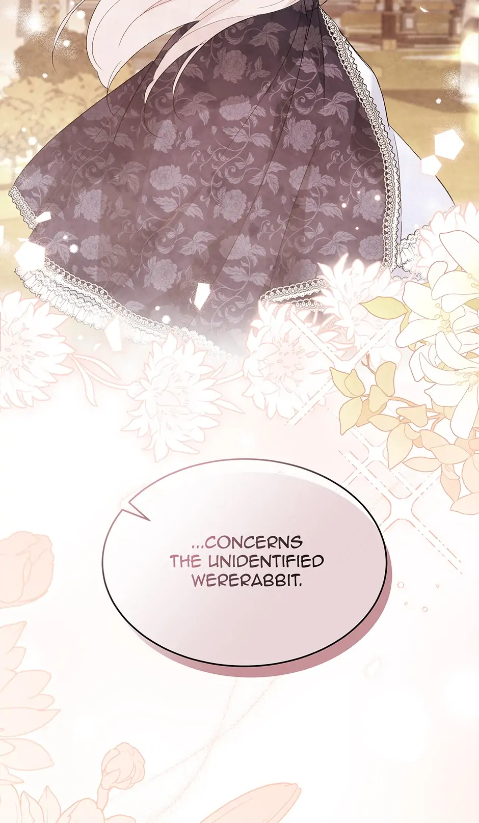Read The Symbiotic Relationship Between the Rabbit and the Black Panther En Manga Online
