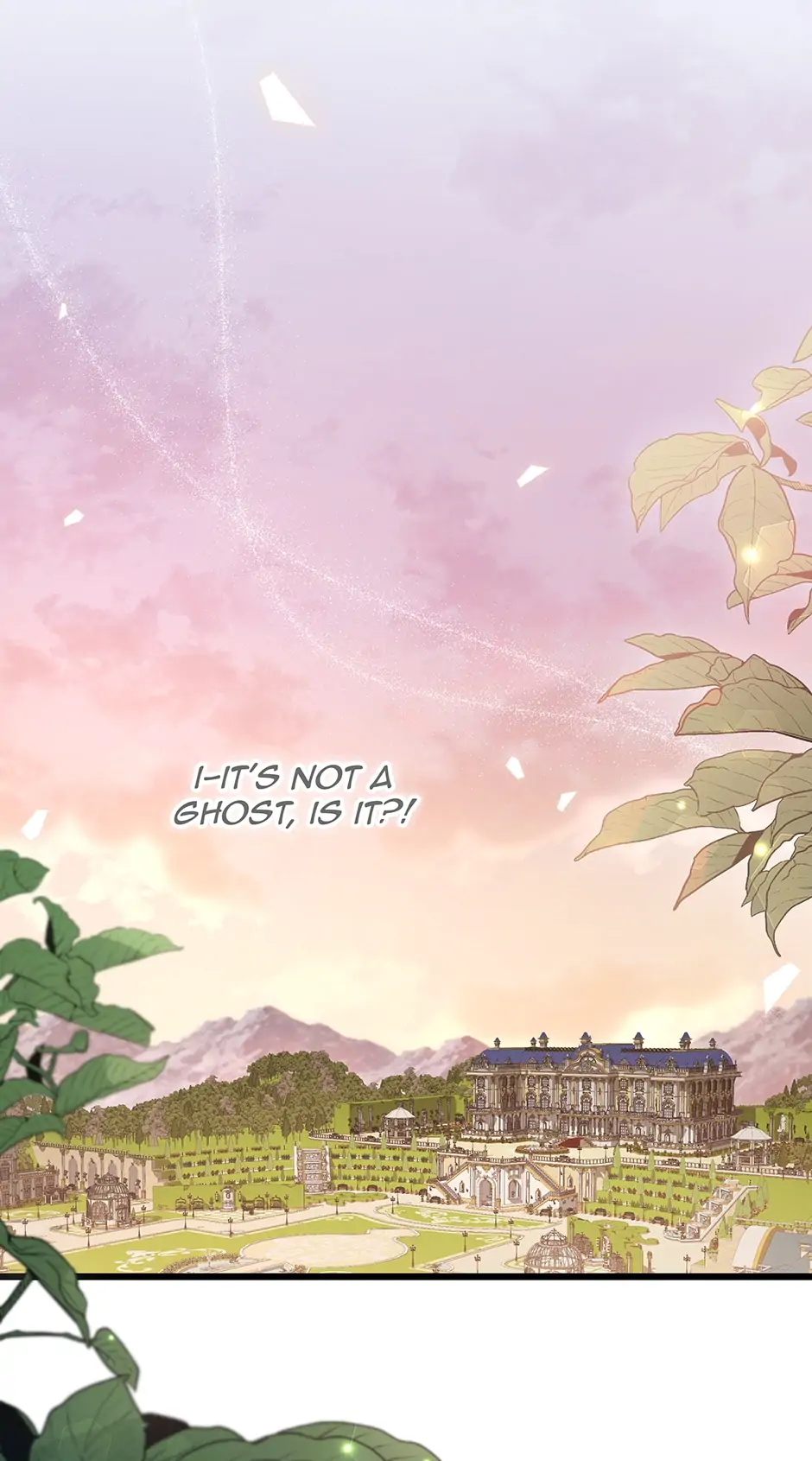 Read The Symbiotic Relationship Between the Rabbit and the Black Panther En Manga Online