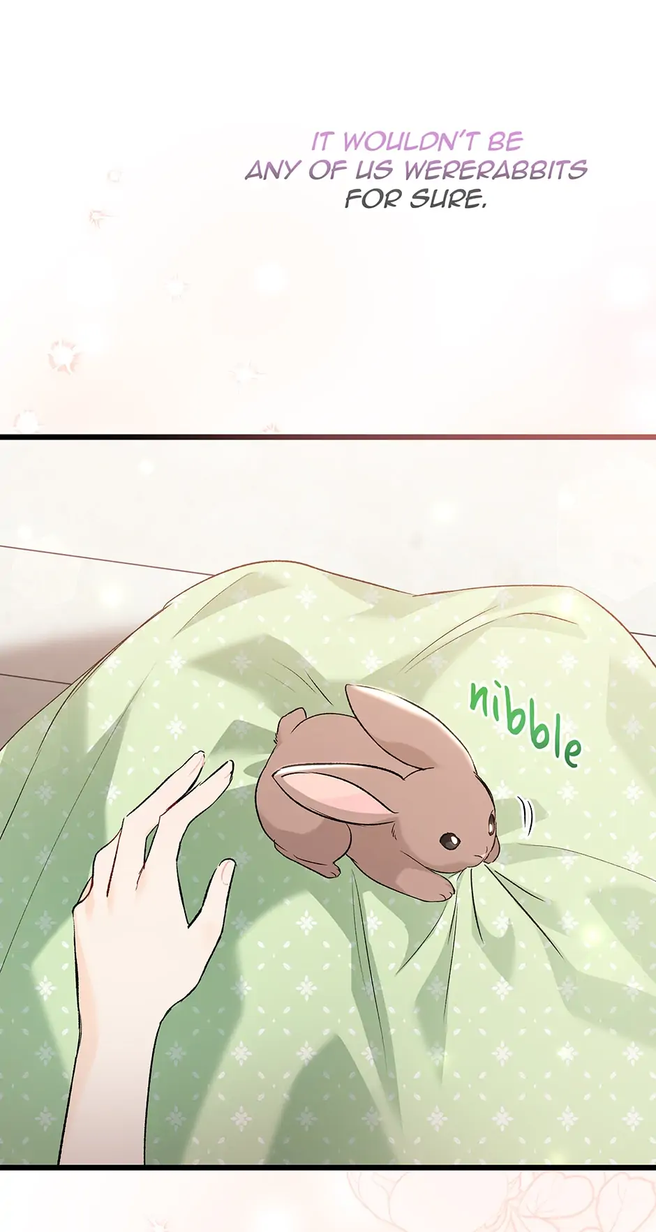 Read The Symbiotic Relationship Between the Rabbit and the Black Panther En Manga Online