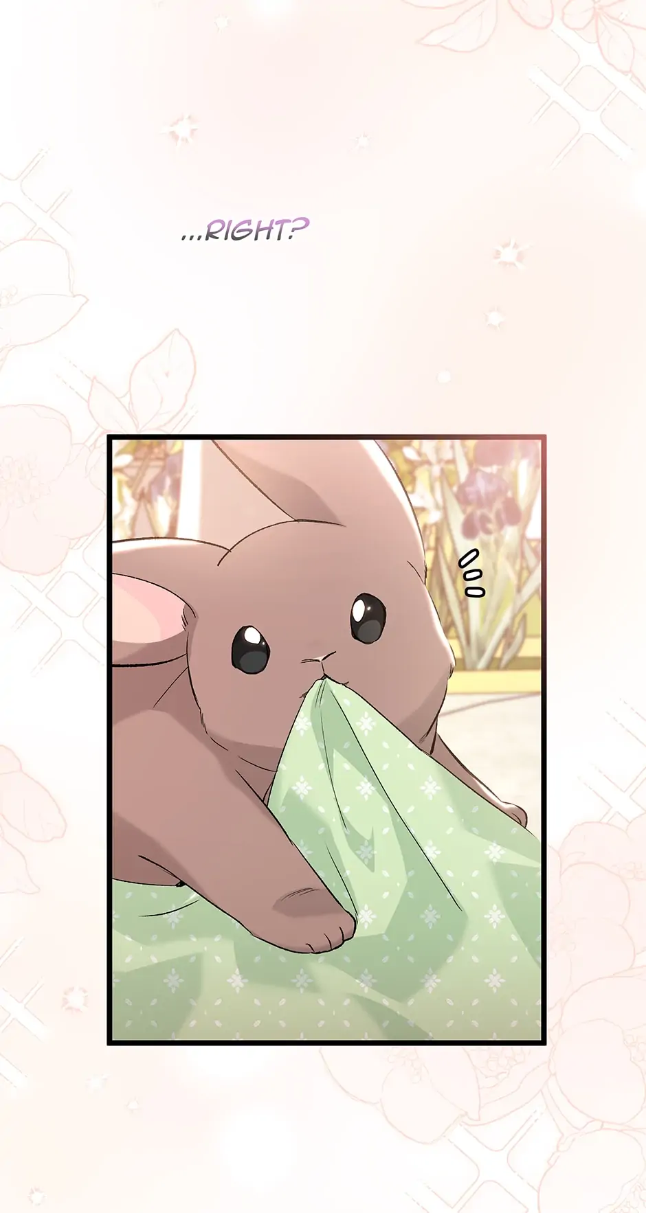 Read The Symbiotic Relationship Between the Rabbit and the Black Panther En Manga Online