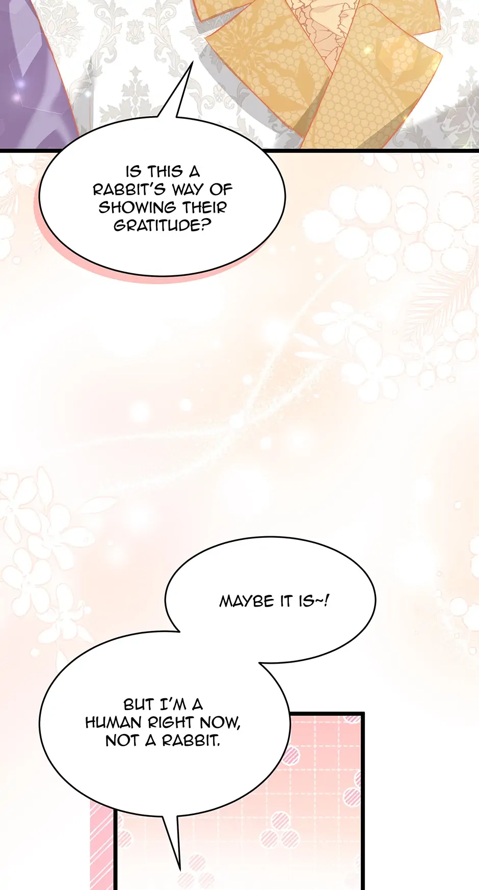 Read The Symbiotic Relationship Between the Rabbit and the Black Panther En Manga Online