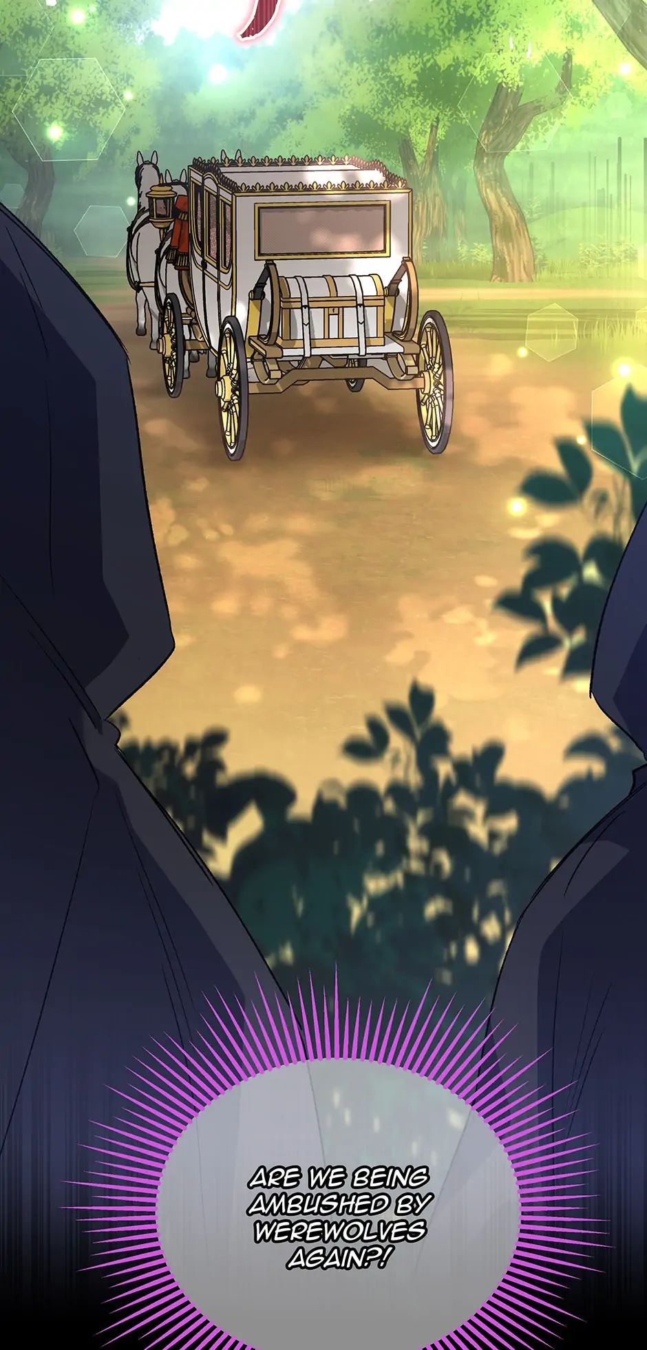 Read The Symbiotic Relationship Between the Rabbit and the Black Panther En Manga Online