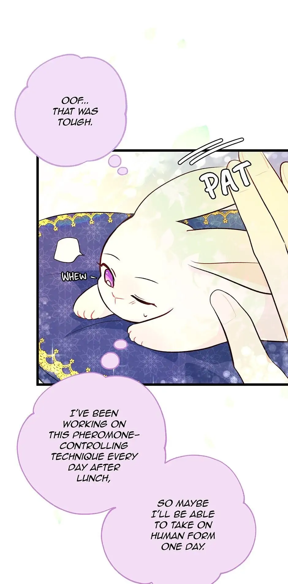 Read The Symbiotic Relationship Between the Rabbit and the Black Panther En Manga Online
