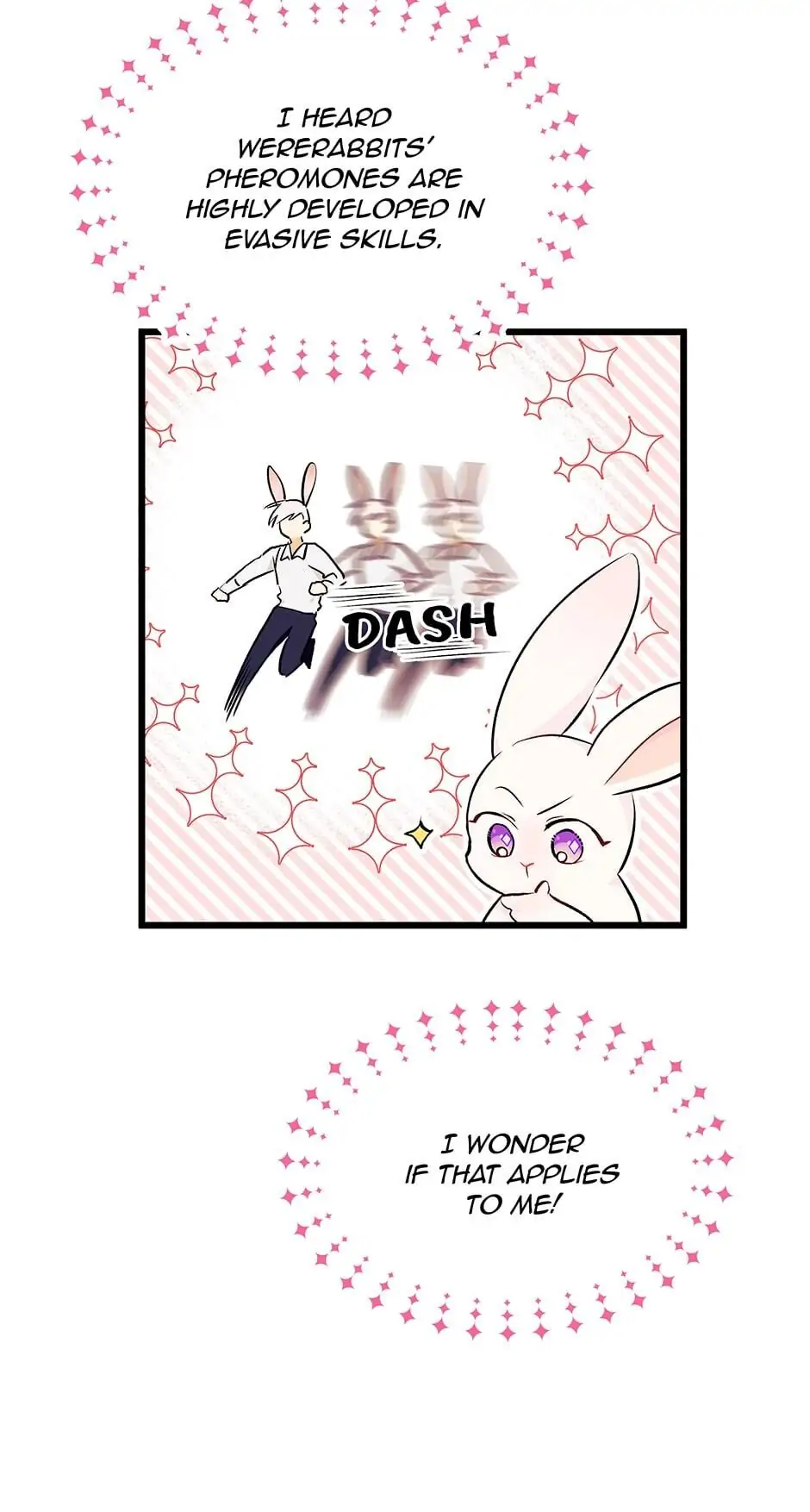 Read The Symbiotic Relationship Between the Rabbit and the Black Panther En Manga Online
