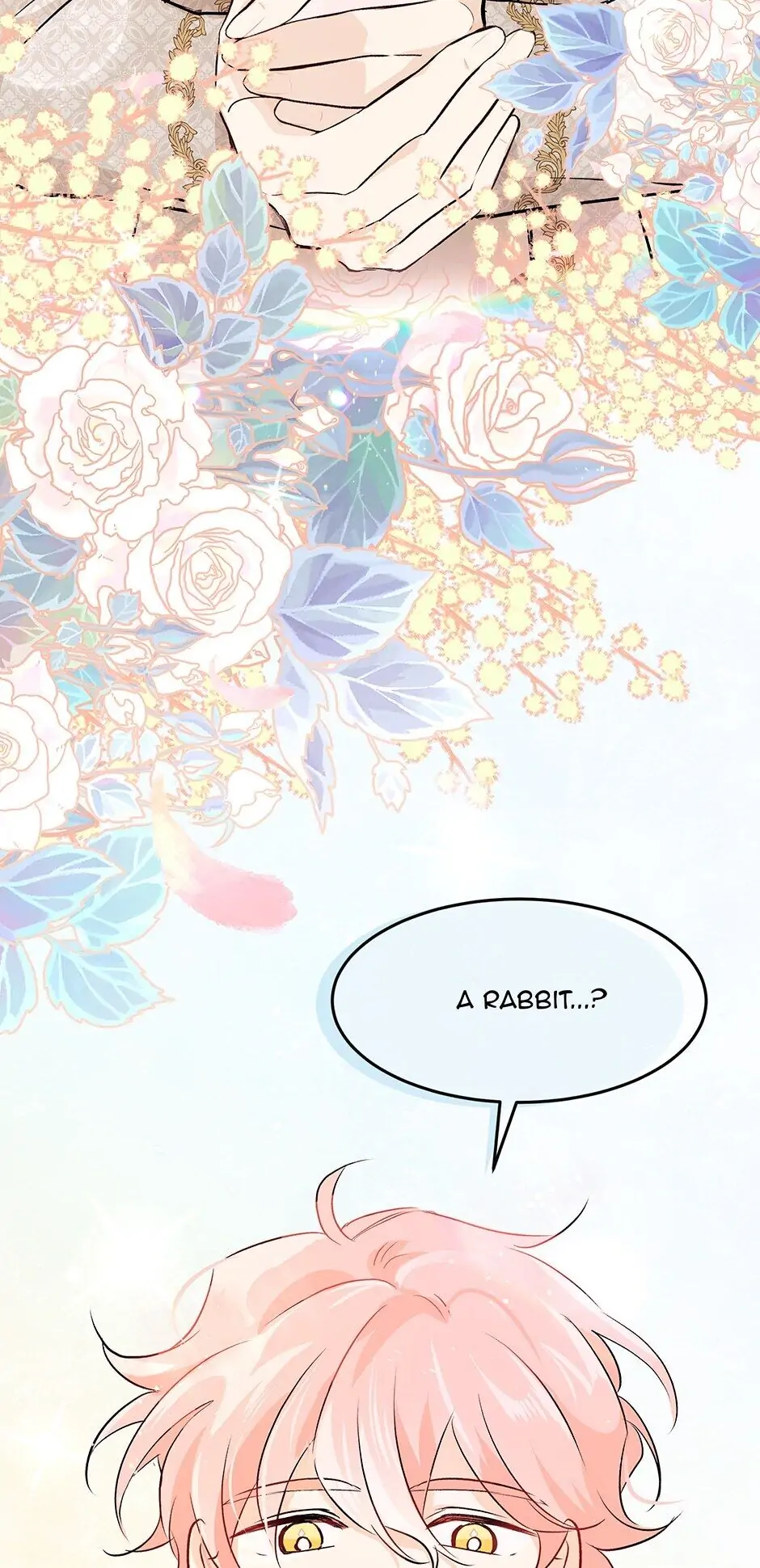 Read The Symbiotic Relationship Between the Rabbit and the Black Panther En Manga Online