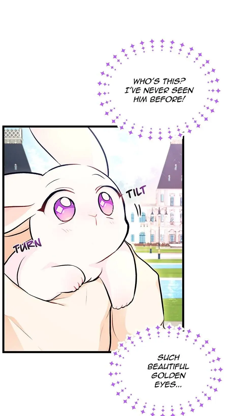 Read The Symbiotic Relationship Between the Rabbit and the Black Panther En Manga Online