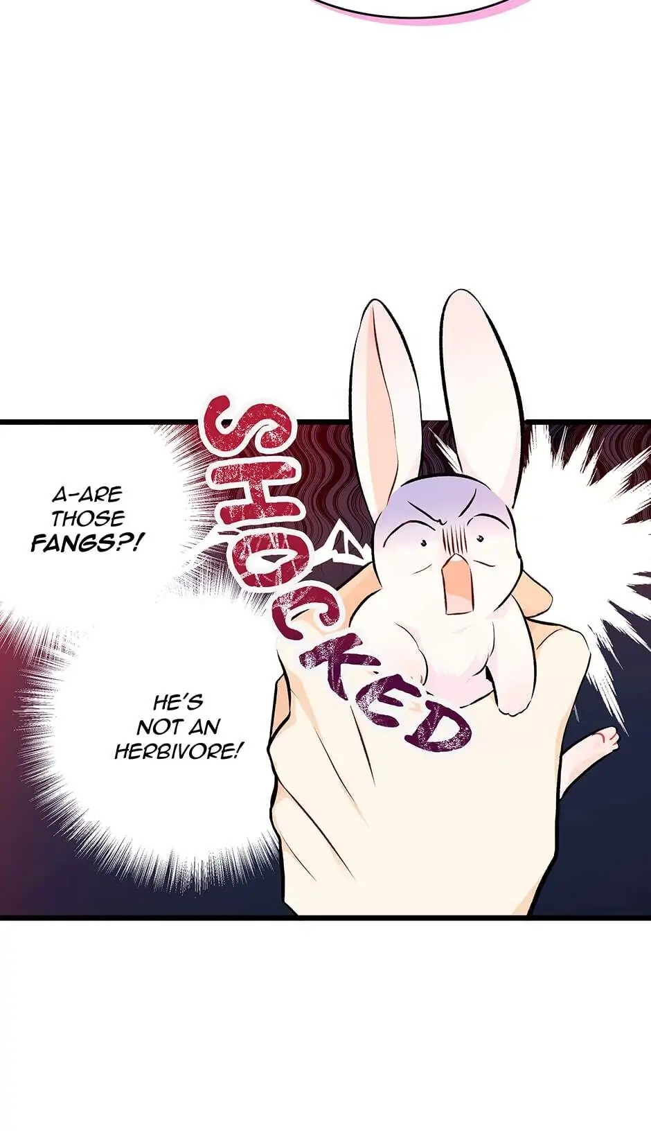 Read The Symbiotic Relationship Between the Rabbit and the Black Panther En Manga Online
