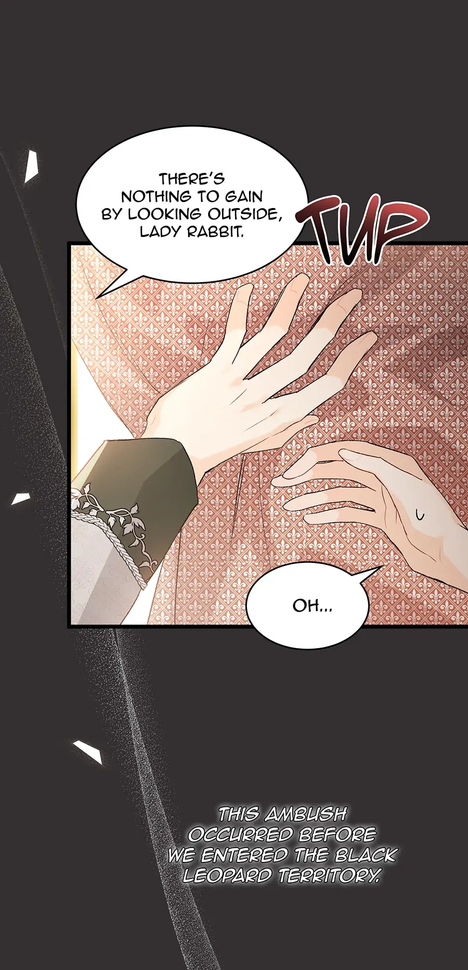 Read The Symbiotic Relationship Between the Rabbit and the Black Panther En Manga Online