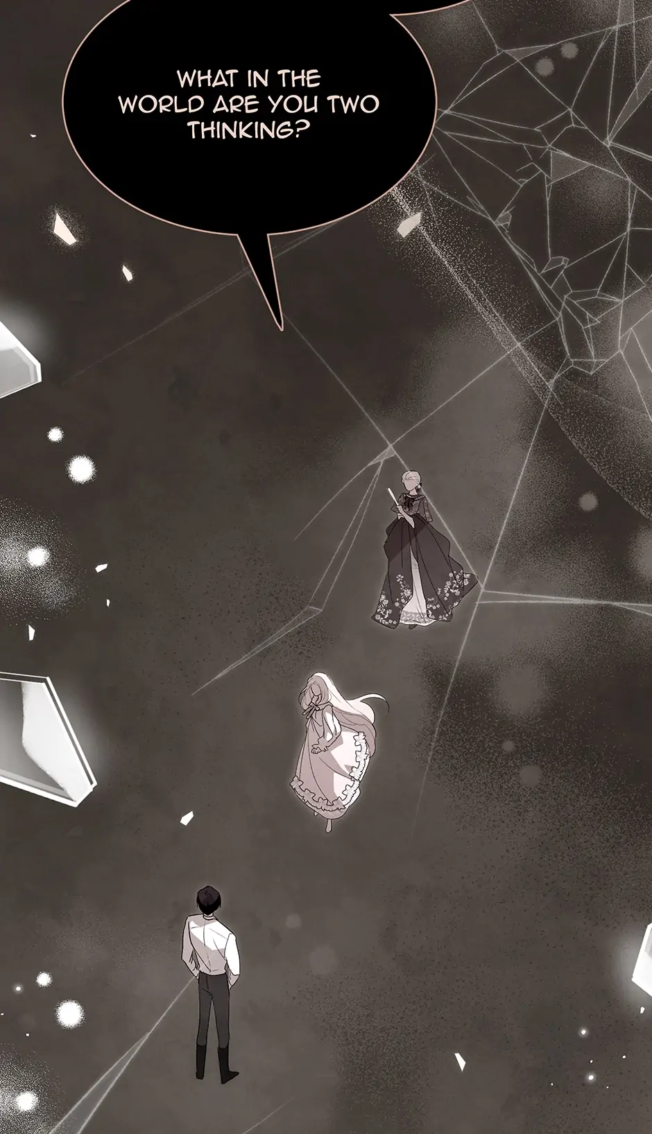 Read The Symbiotic Relationship Between the Rabbit and the Black Panther En Manga Online
