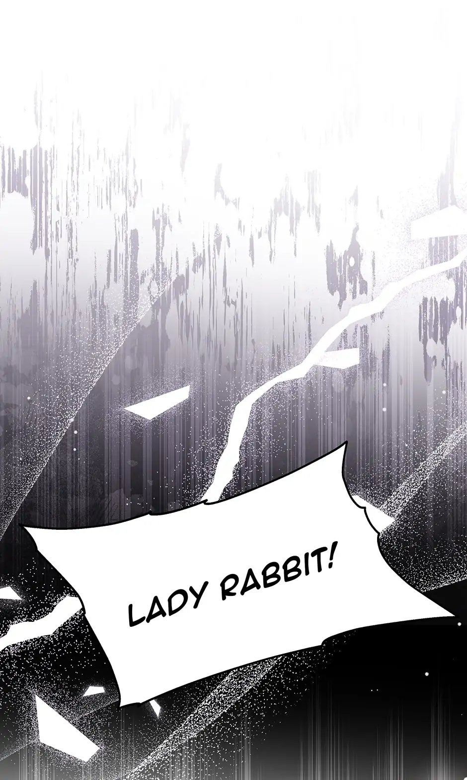 Read The Symbiotic Relationship Between the Rabbit and the Black Panther En Manga Online
