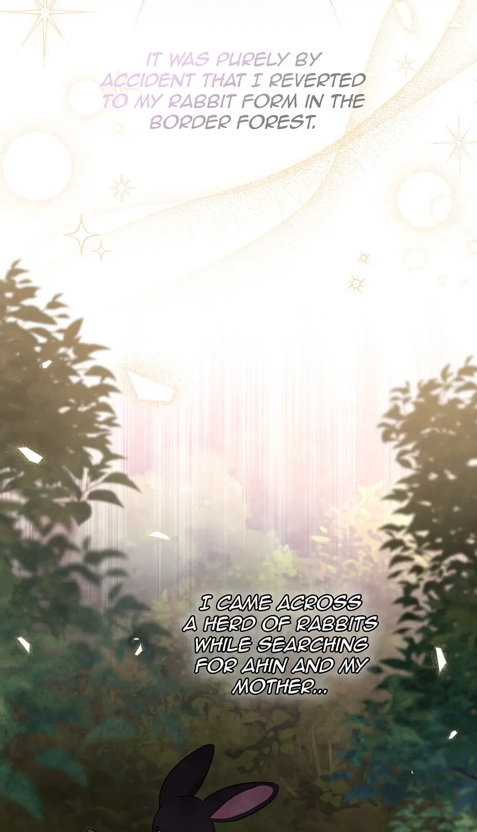 Read The Symbiotic Relationship Between the Rabbit and the Black Panther En Manga Online