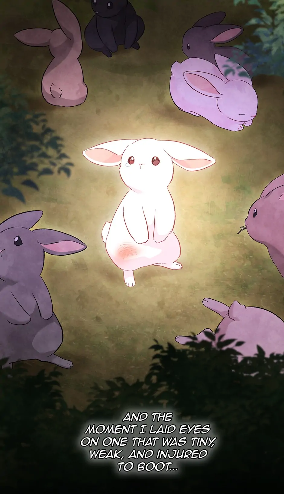 Read The Symbiotic Relationship Between the Rabbit and the Black Panther En Manga Online