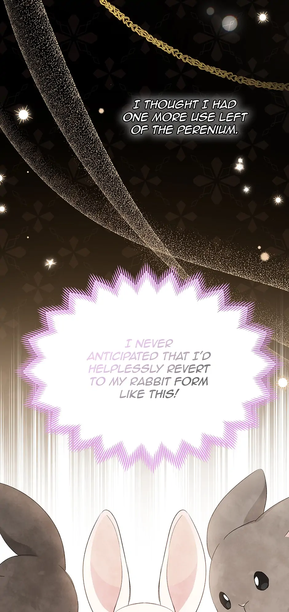 Read The Symbiotic Relationship Between the Rabbit and the Black Panther En Manga Online