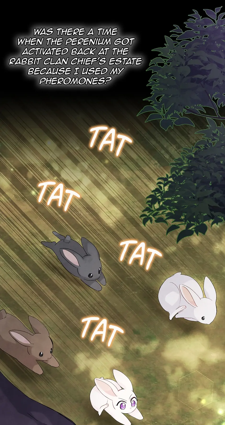 Read The Symbiotic Relationship Between the Rabbit and the Black Panther En Manga Online