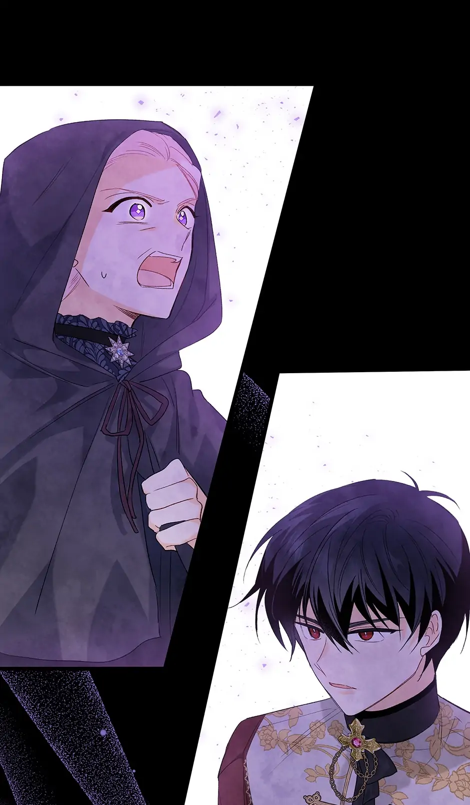 Read The Symbiotic Relationship Between the Rabbit and the Black Panther En Manga Online