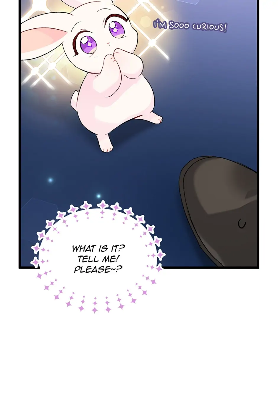 Read The Symbiotic Relationship Between the Rabbit and the Black Panther En Manga Online
