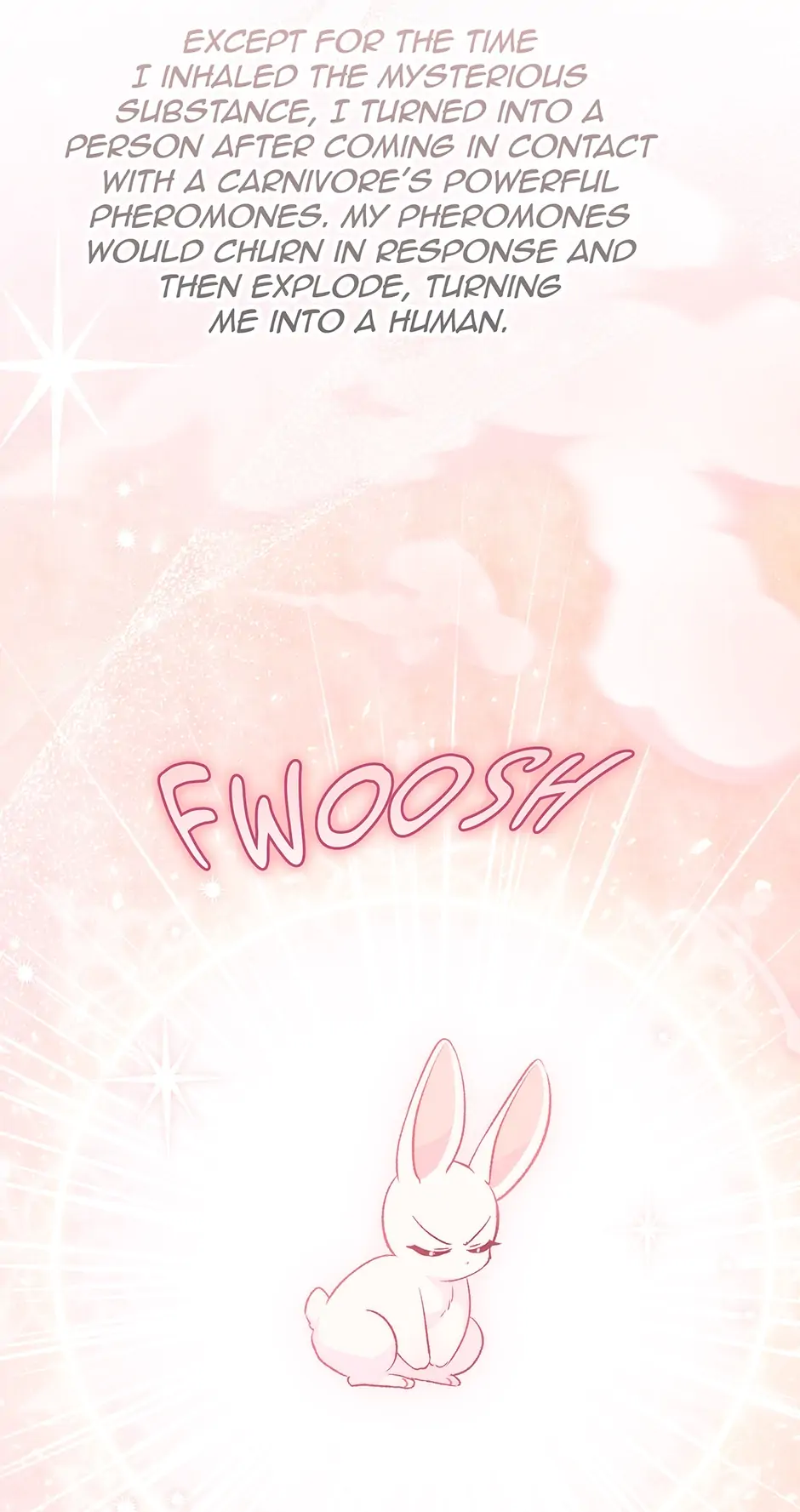 Read The Symbiotic Relationship Between the Rabbit and the Black Panther En Manga Online