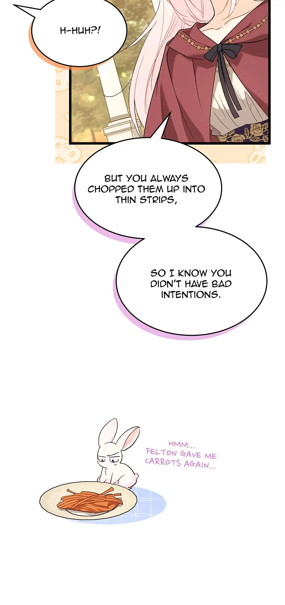 Read The Symbiotic Relationship Between the Rabbit and the Black Panther En Manga Online