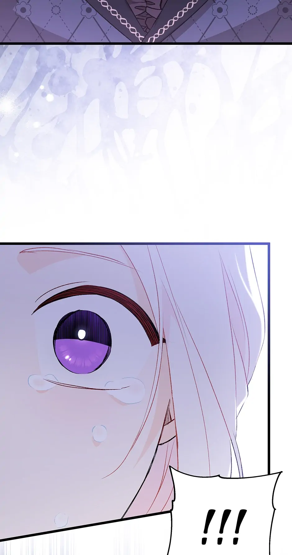 Read The Symbiotic Relationship Between the Rabbit and the Black Panther En Manga Online